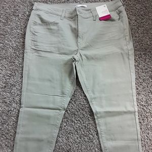 Plus size Juniors jeggings